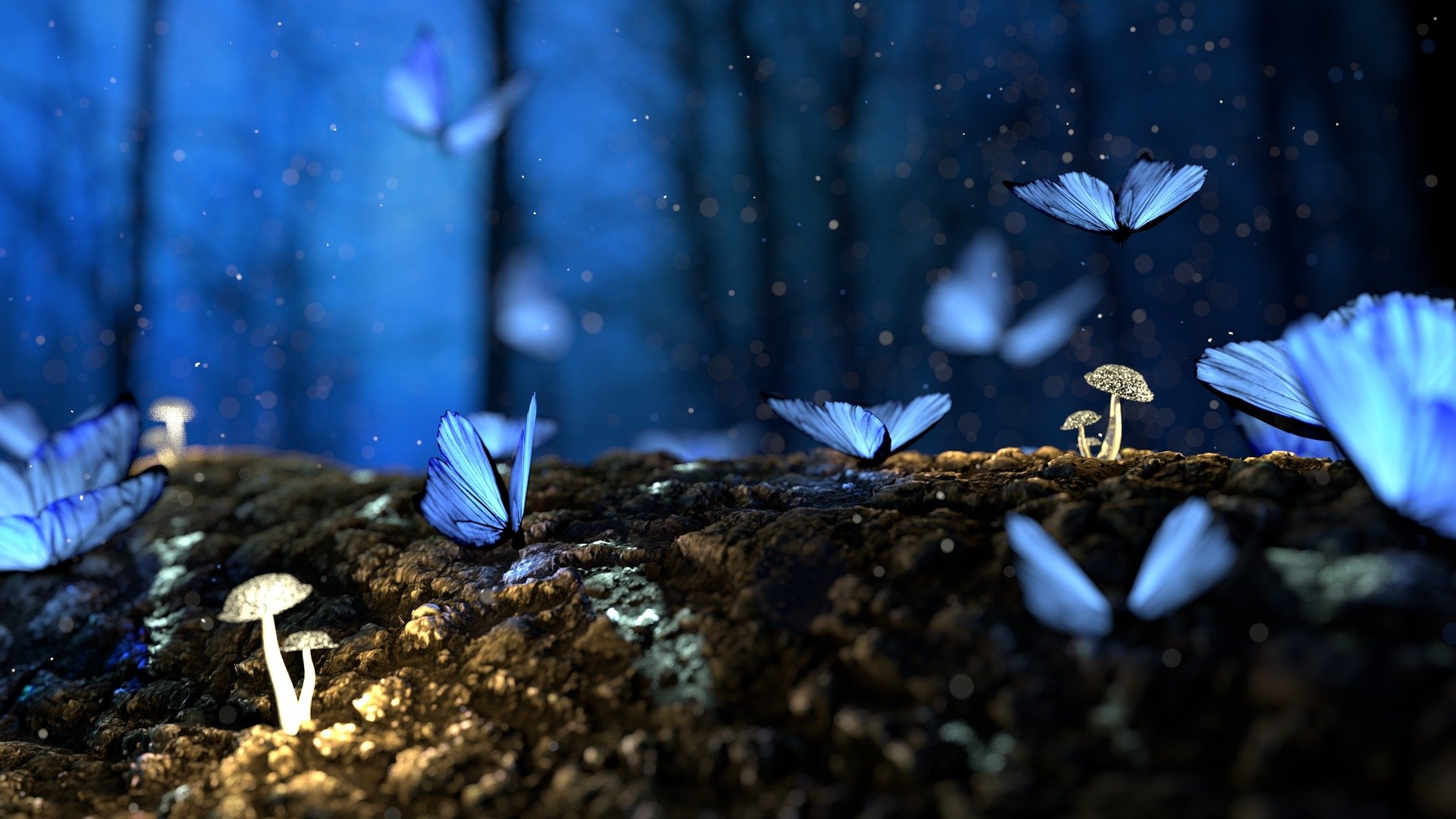 fantasy-2049567_1920